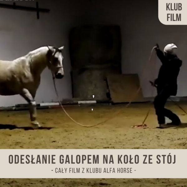 odeslanie_galopem_na_kolo_ze_stoj