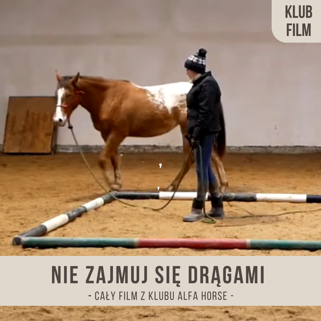 nie_zajmuj_sie_dragami
