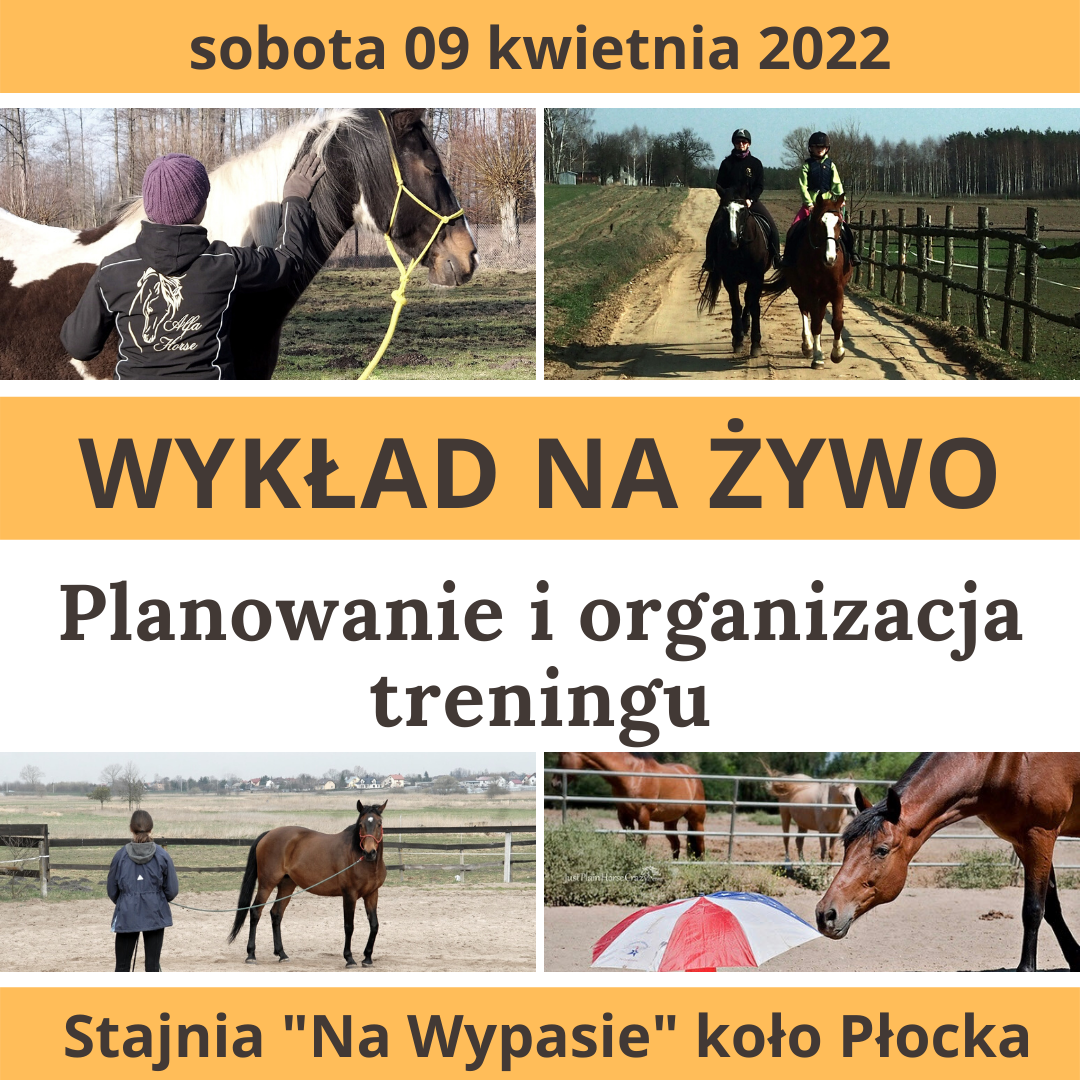 wyklad_planowanie_organizacja_treningu