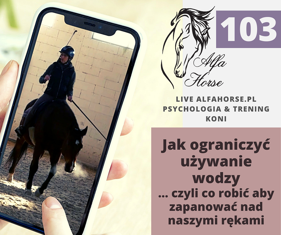 lice_103_ograniczenie_uzycia_wodzy_corde_trening_koni
