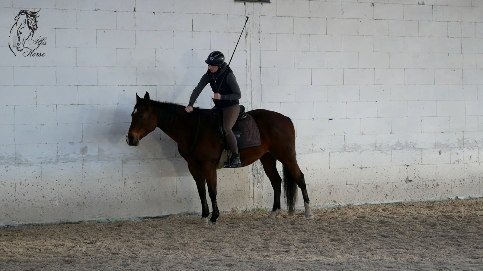 jazda_na_cordeo_trening_koni_20