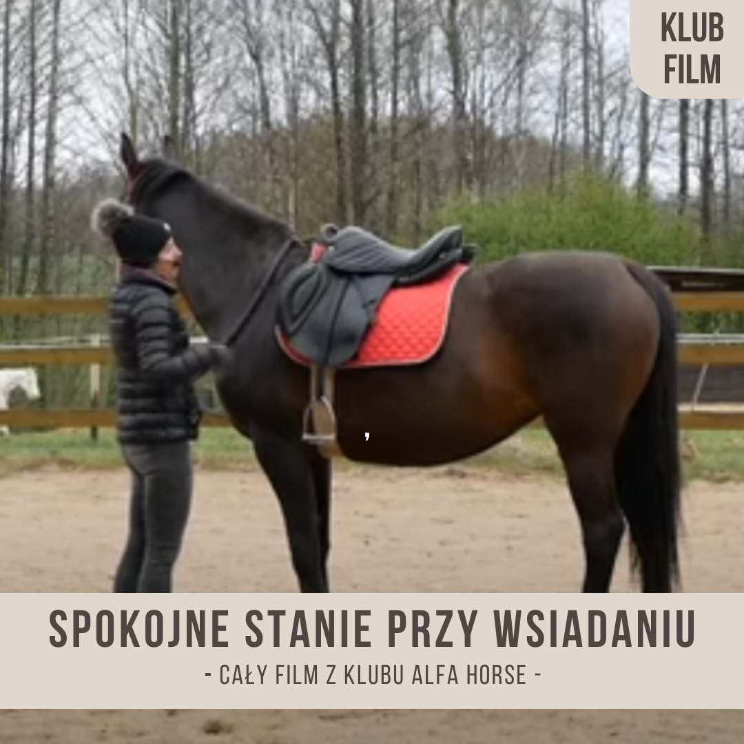 spokojne_stanie_przy_wsiadaniu