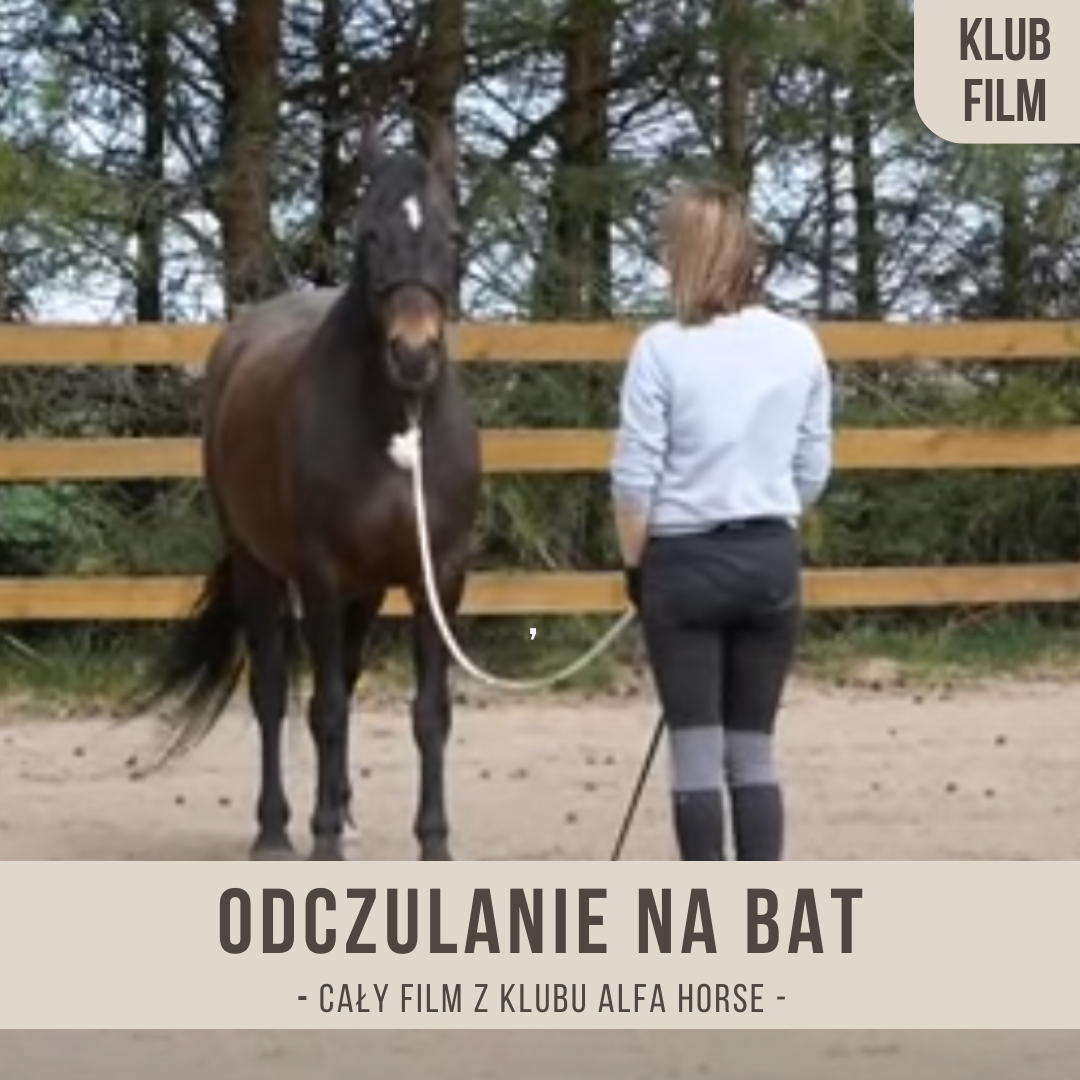 odczulanie_na_bat