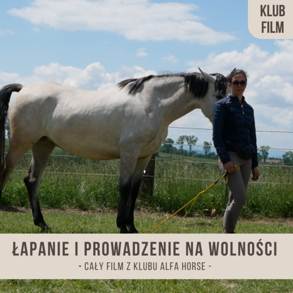 lapanie_i_prowadzenie_na_wolnosci