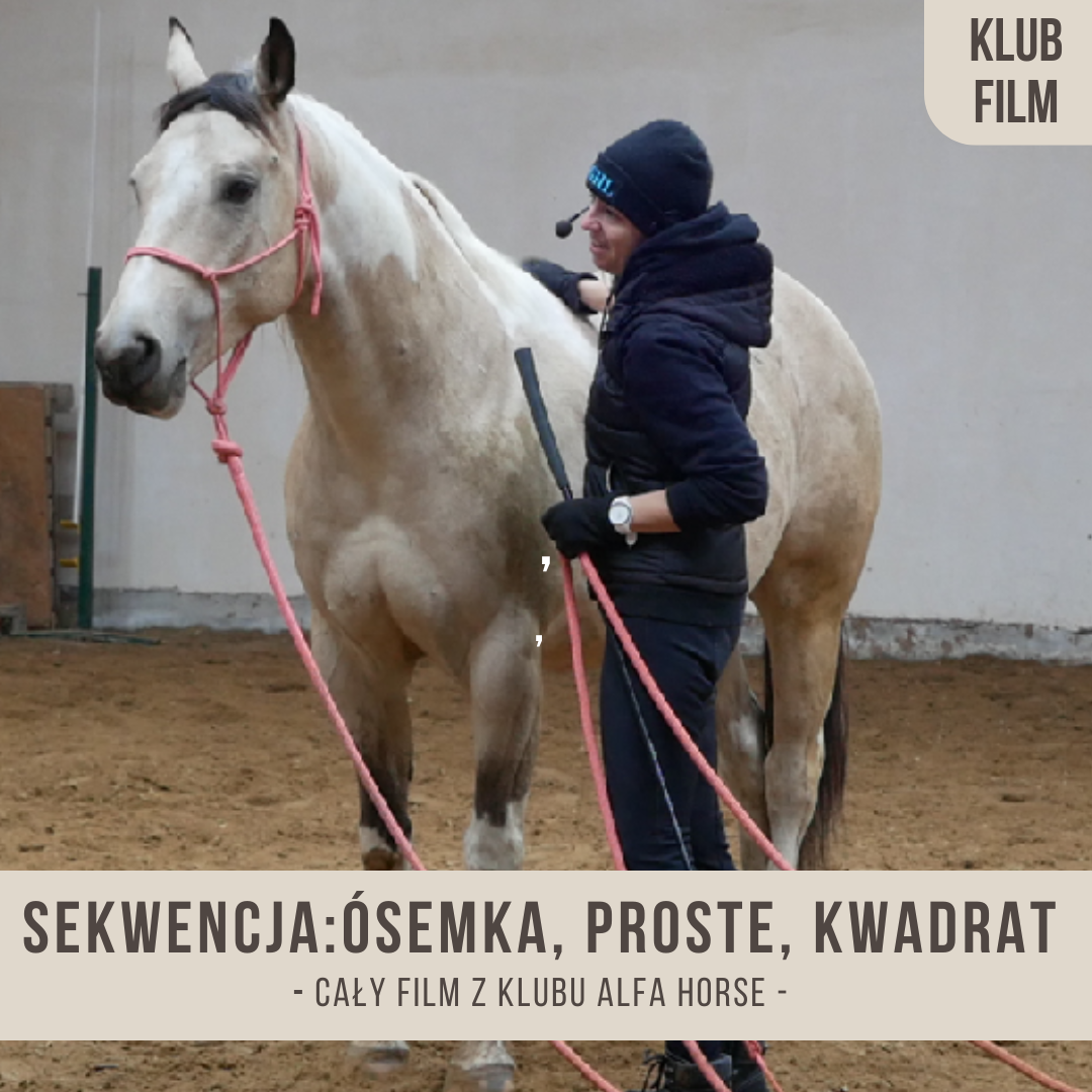 sekwencja_osemka_proste_kwadrat