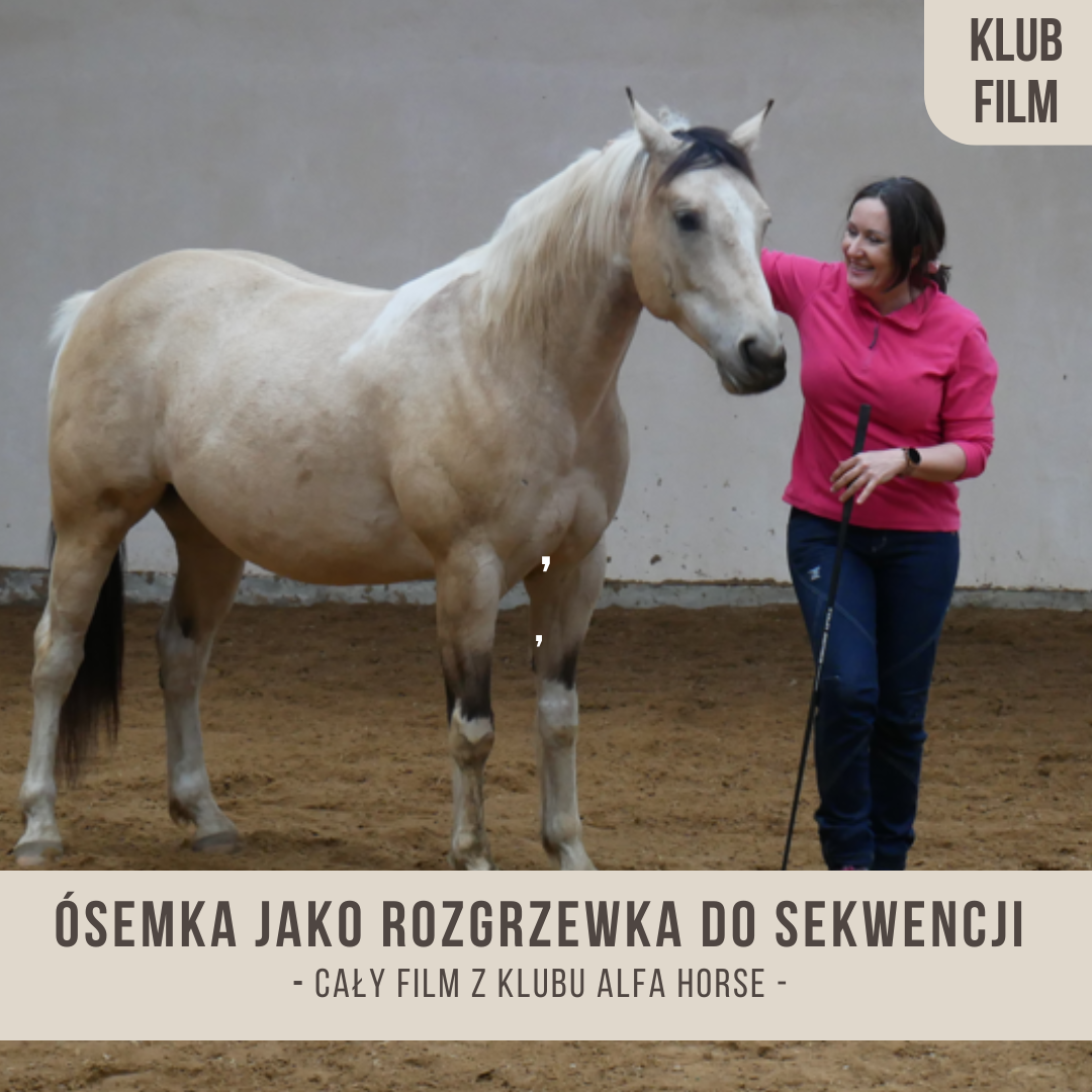 osemka_jako_rozgrzewka_do_sekwencji