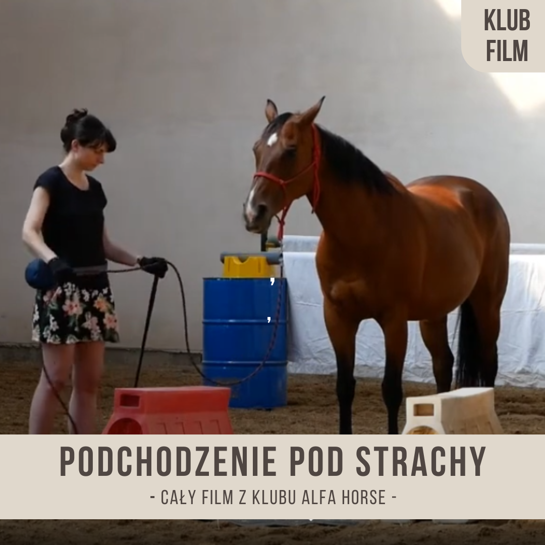 podchodzenie_pod_strachy