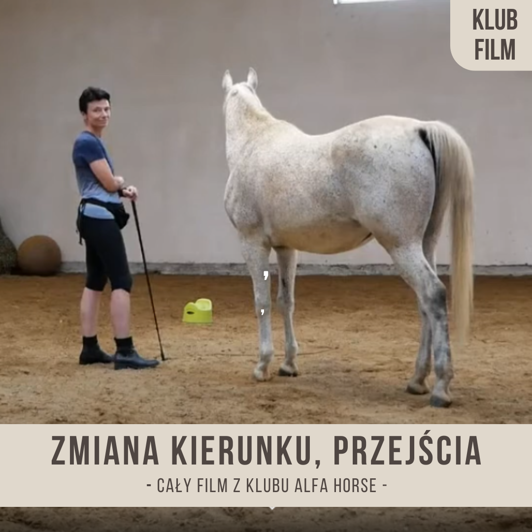 zmiana_kierunku_przejscia_na_wolnosci_poczatek_wstazki