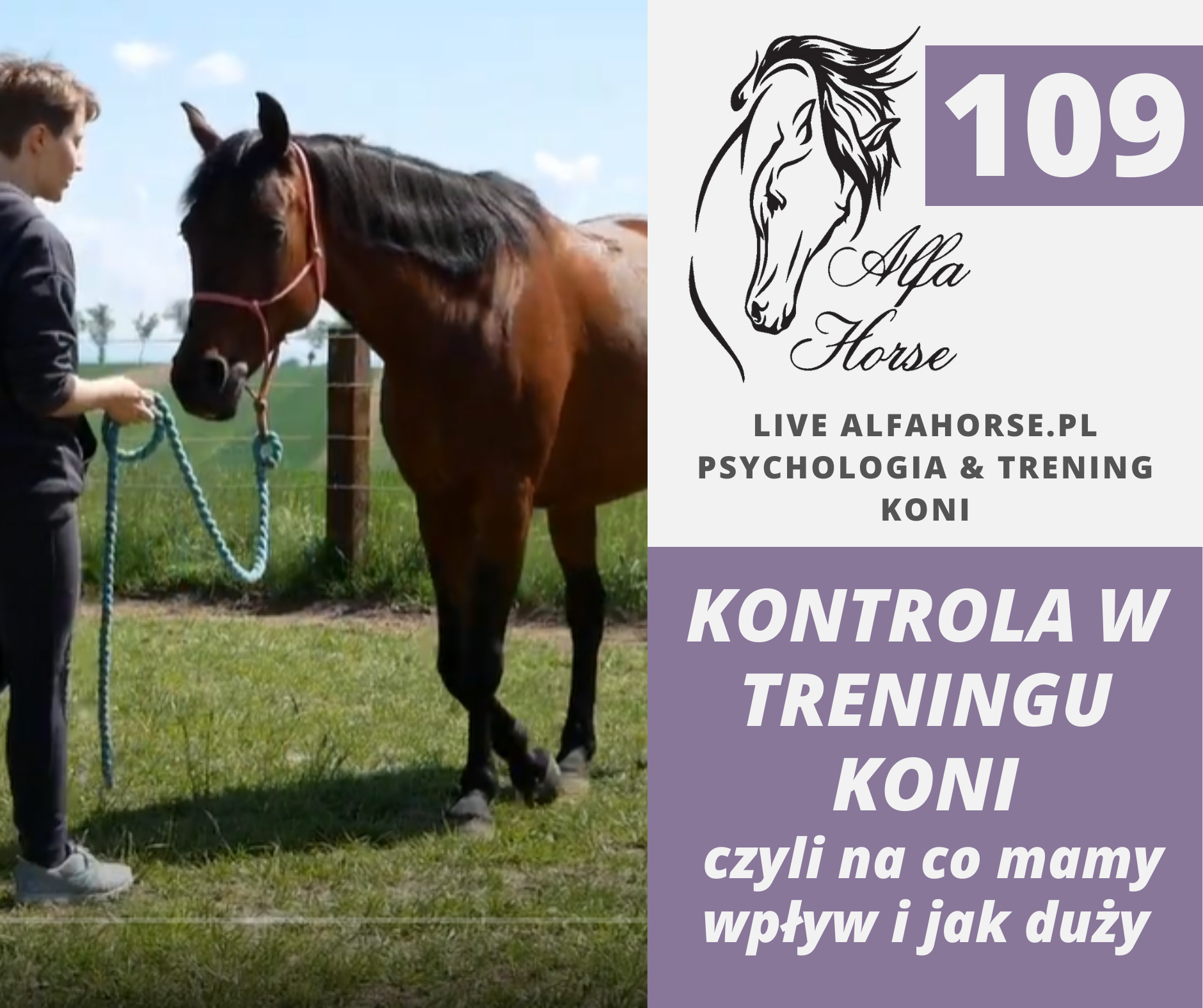 live_109_kontrola_w_treningu_koni