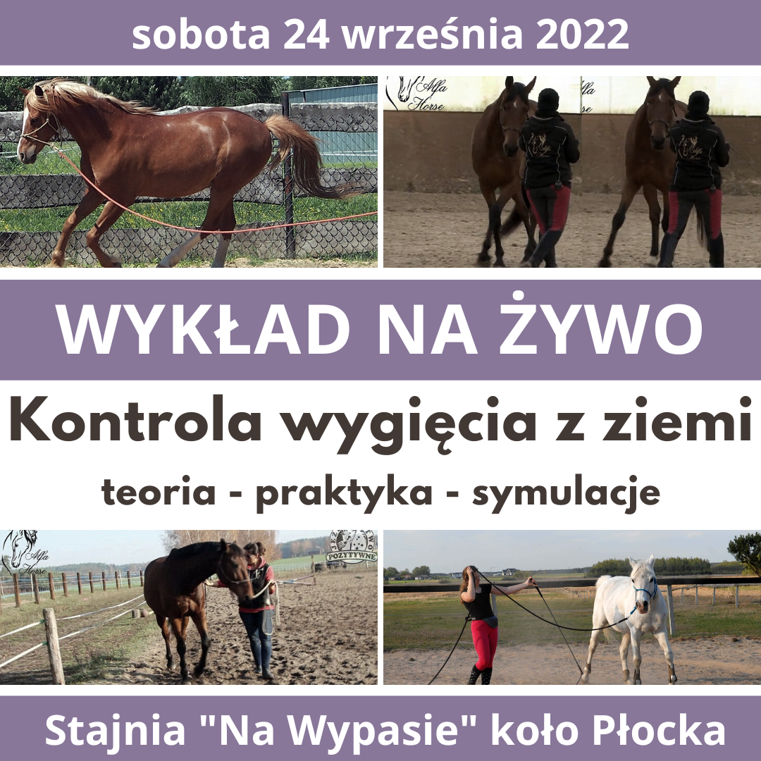 wyklad_kontrola_wygiecia_z_ziemi