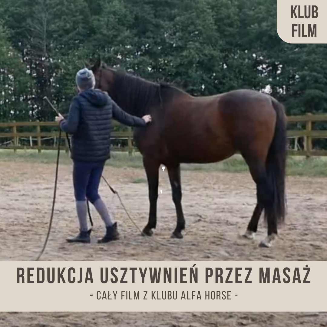 redukcja_usztywnien_przez_masaz_w_ruchu_i_odwrotne_prowadzenie