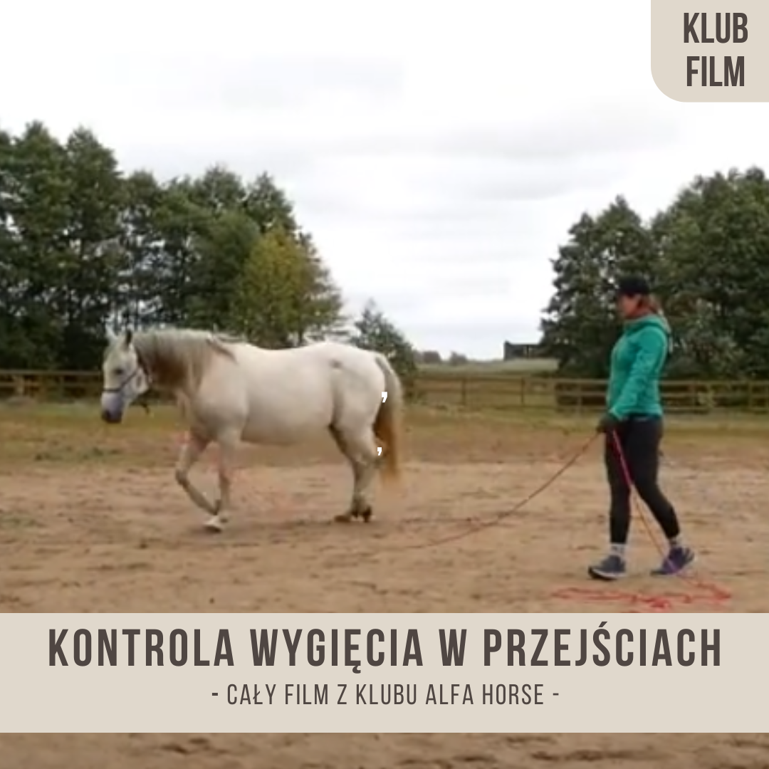 kontrola_wygiecia_w_przejsciach_oraz_dodania_energii