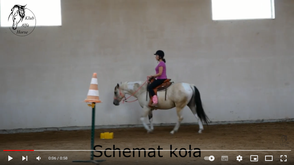schemat_kola_trening_koni_jazda_alfa_horse