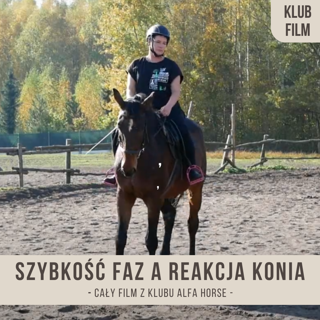 szybkosc_faz_a_reakcja_konia