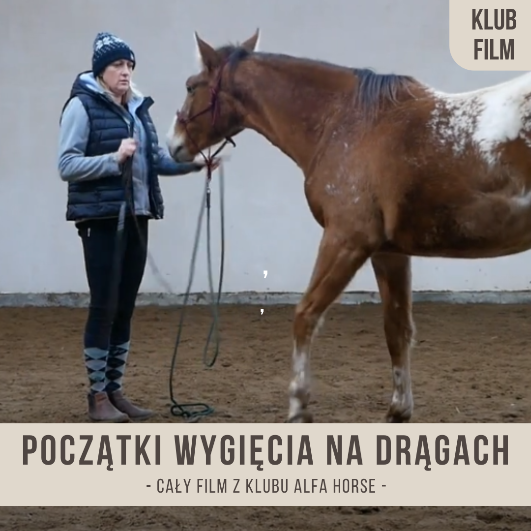 poczatki_wygiecia_na_dragach