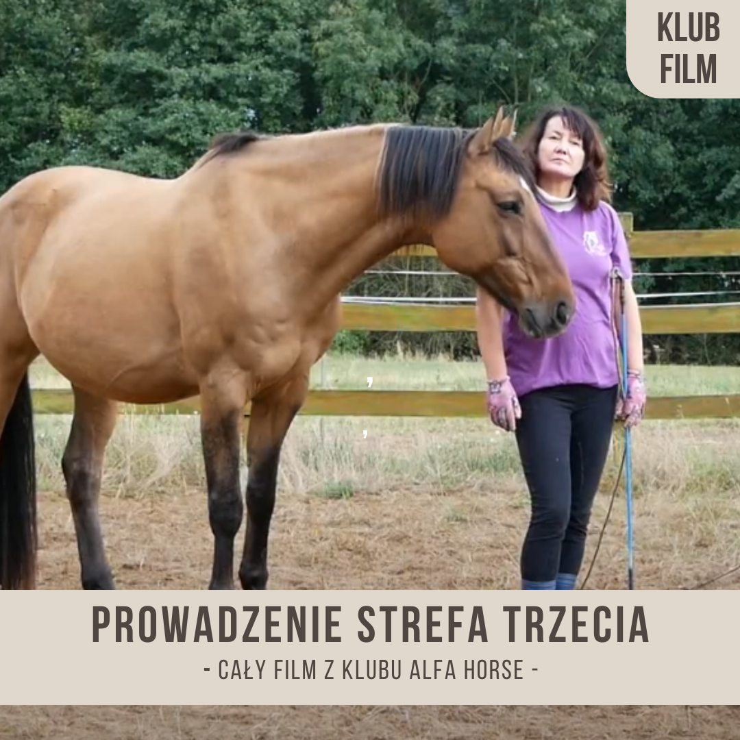 prowadzenie_strefa_trzecia