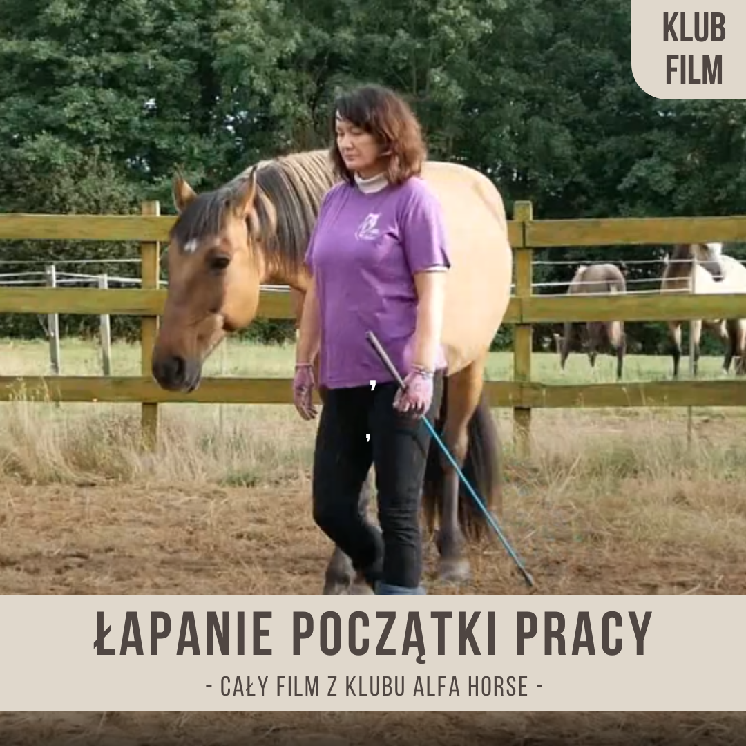lapanie_poczatki_pracy