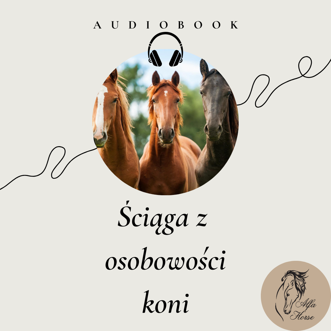 AUDIOBOOK "Ściąga z Osobowości Koni"