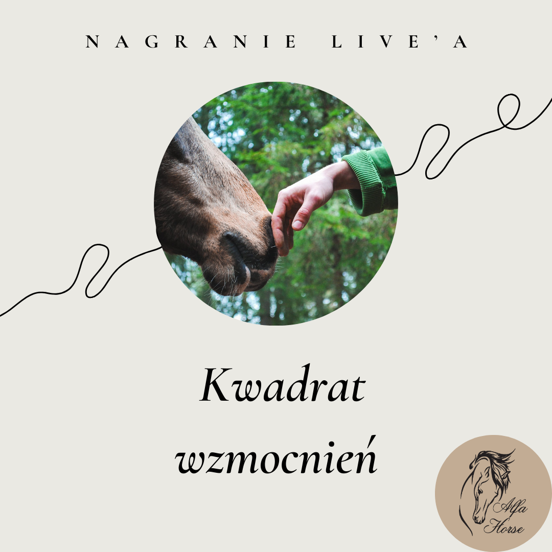 live kwadrat wzmocnień