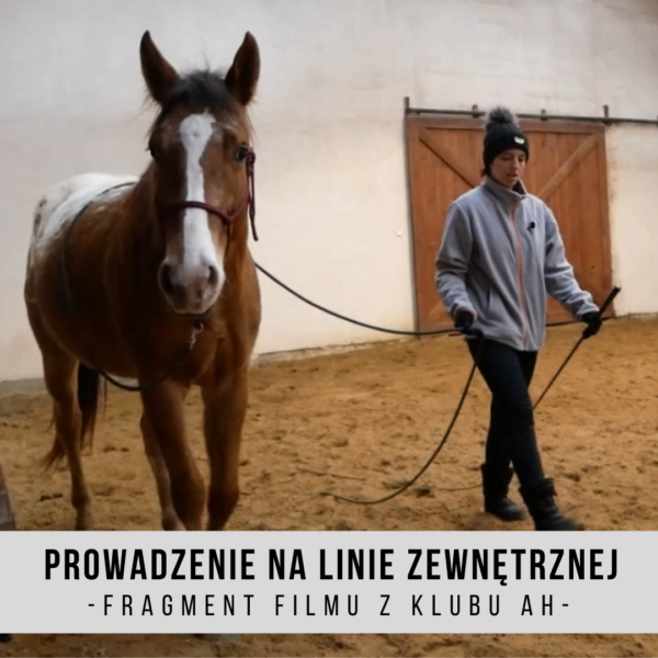prowadzenie_lina_zewnetrzna_trening_koni