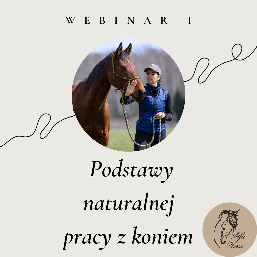 webinar 1 podstawy naturalnej pracy z koniem
