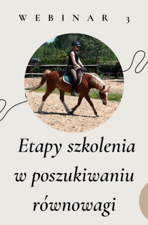 webinar 3 etapy szkolenia w poszukiwaniu równowagi