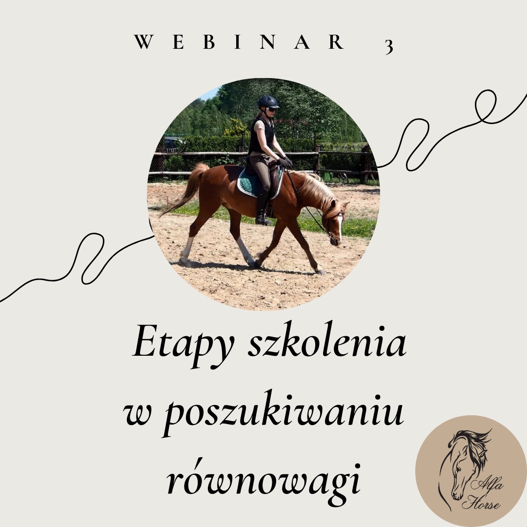 webinar 3 etapy szkolenia w poszukiwaniu równowagi