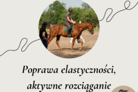 wideowykład 2 poprawa elastyczności aktywne rozwiącanie i kontakt