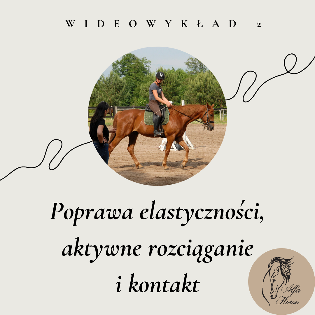 wideowykład 2 poprawa elastyczności aktywne rozwiącanie i kontakt