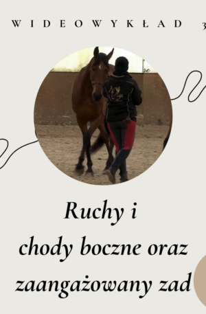 wideowykład 3 ruchu i chody boczne oraz zaangażowany zad