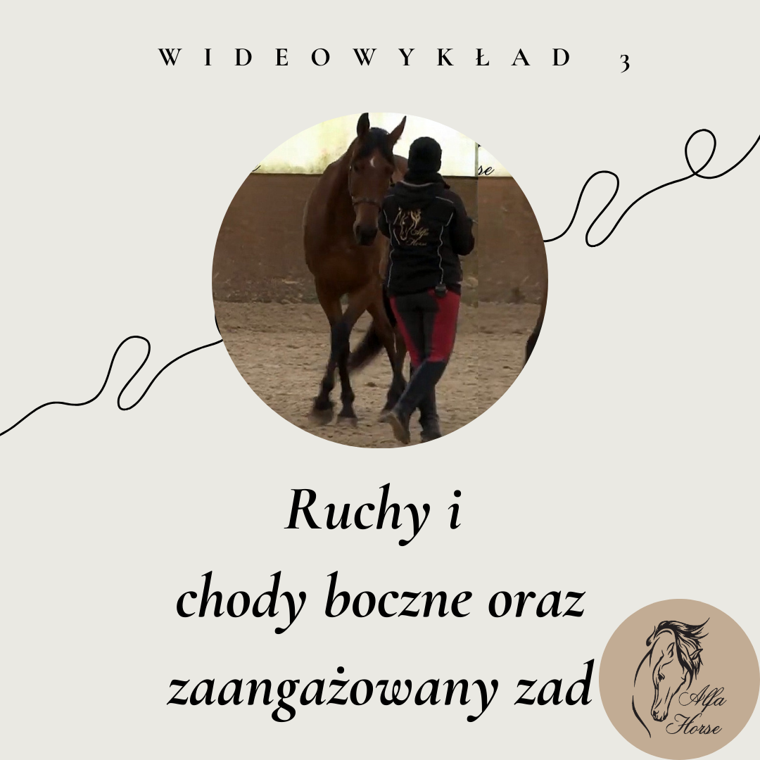 wideowykład 3 ruchu i chody boczne oraz zaangażowany zad