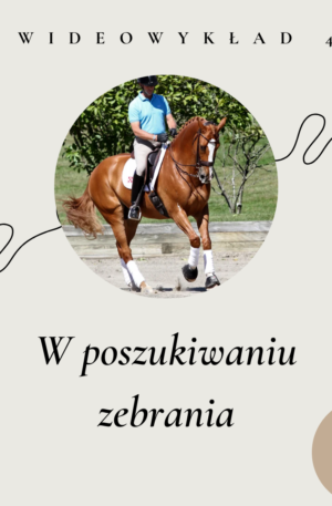 wideowykład 4 w poszukiwaniu zebrania