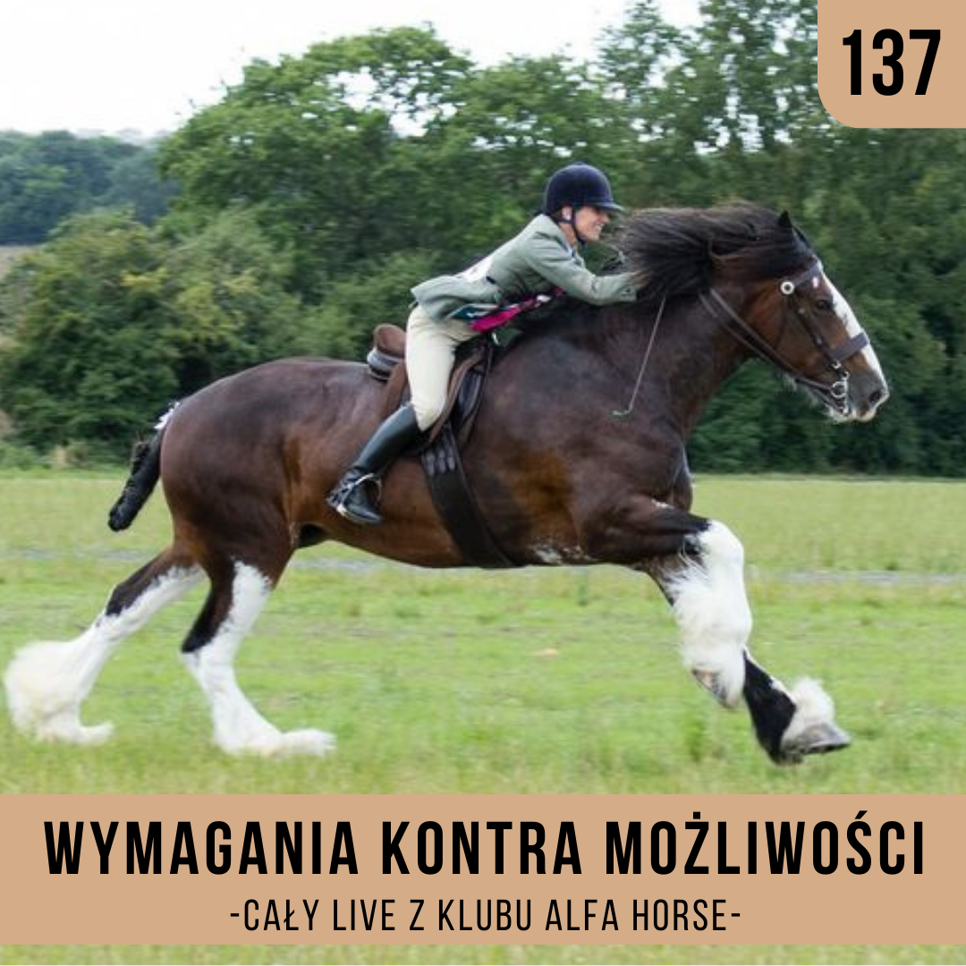 wymagania_kontra_mozliwosci_live_137