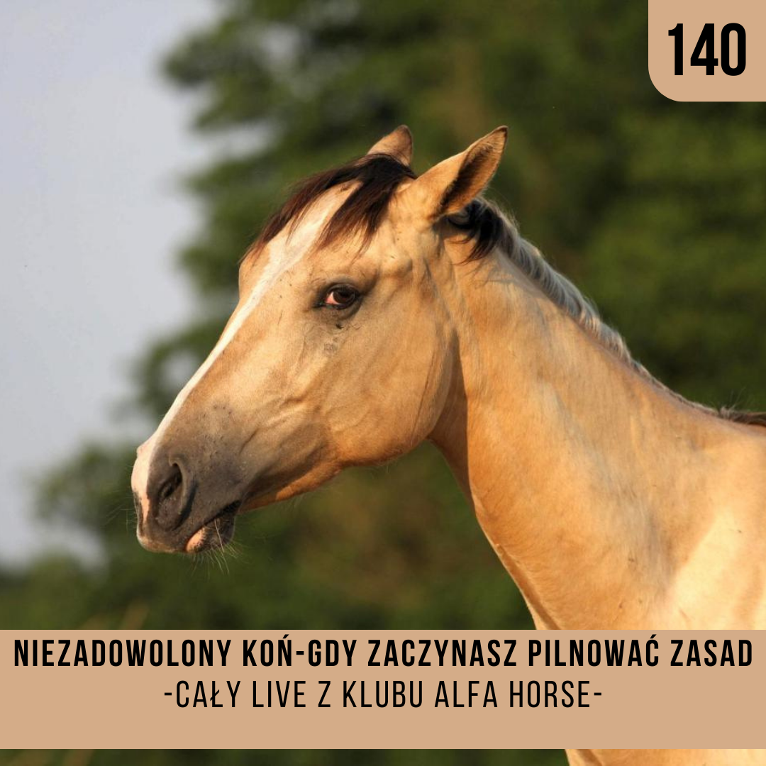 _niezadowolony_kon_gdy_zaczynasz_pilnowac_zasad