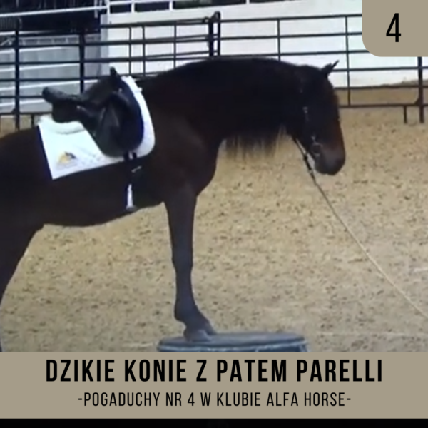 POGADUCHY_4_DZIKIE_KONIE_PAT_PARELLI