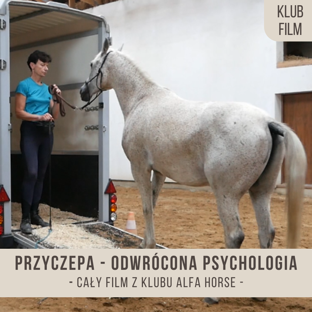 przyczepa_odwrócona_psychologia