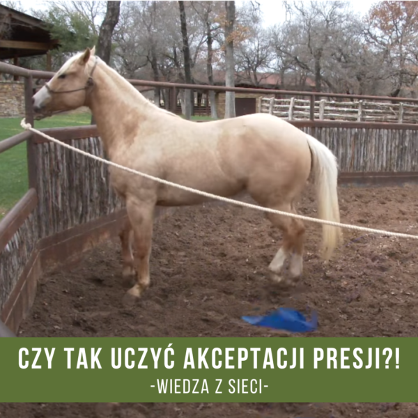 czy_tak_uczyc_akceptacji_presji_crain_cameron_wiedza_z_sieci