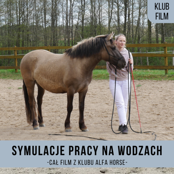 _symulacje_pracy_na_wodzach_