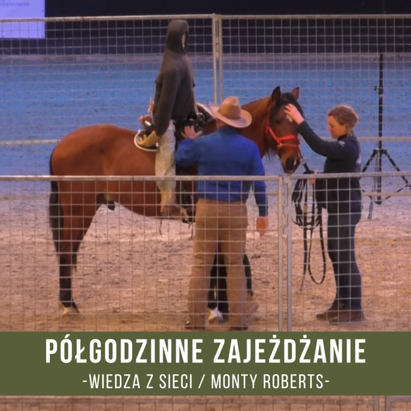 polgodzinne_zajezdzanie_koni_monty_roberts