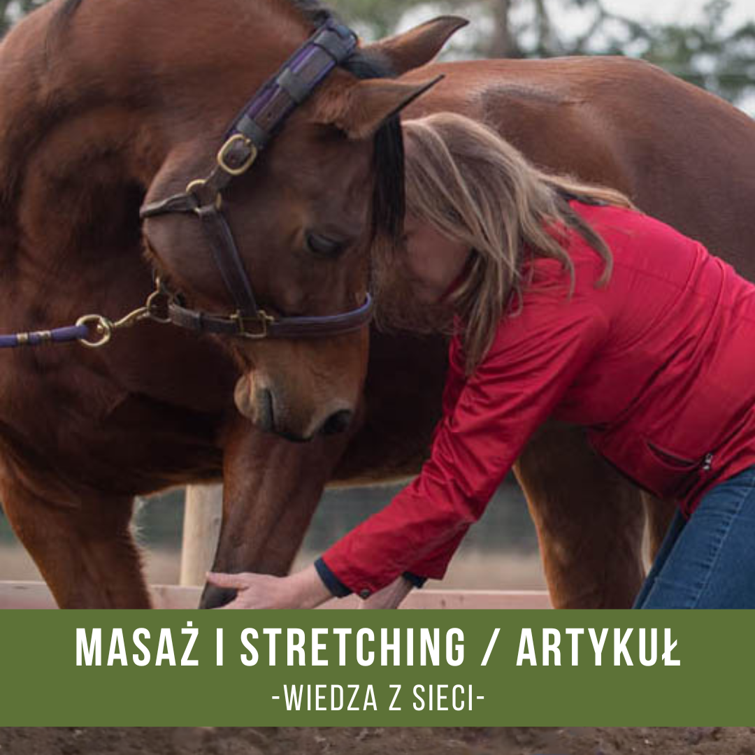 masaz_stretching