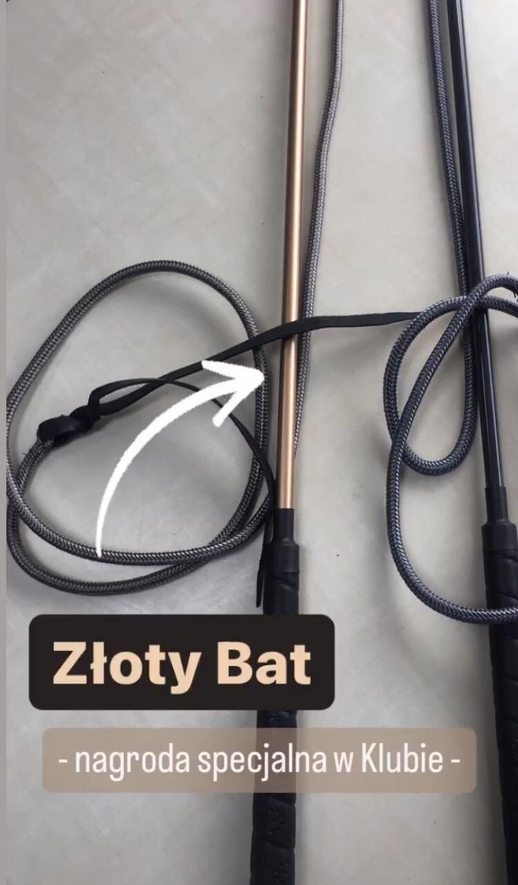 zloty_bat