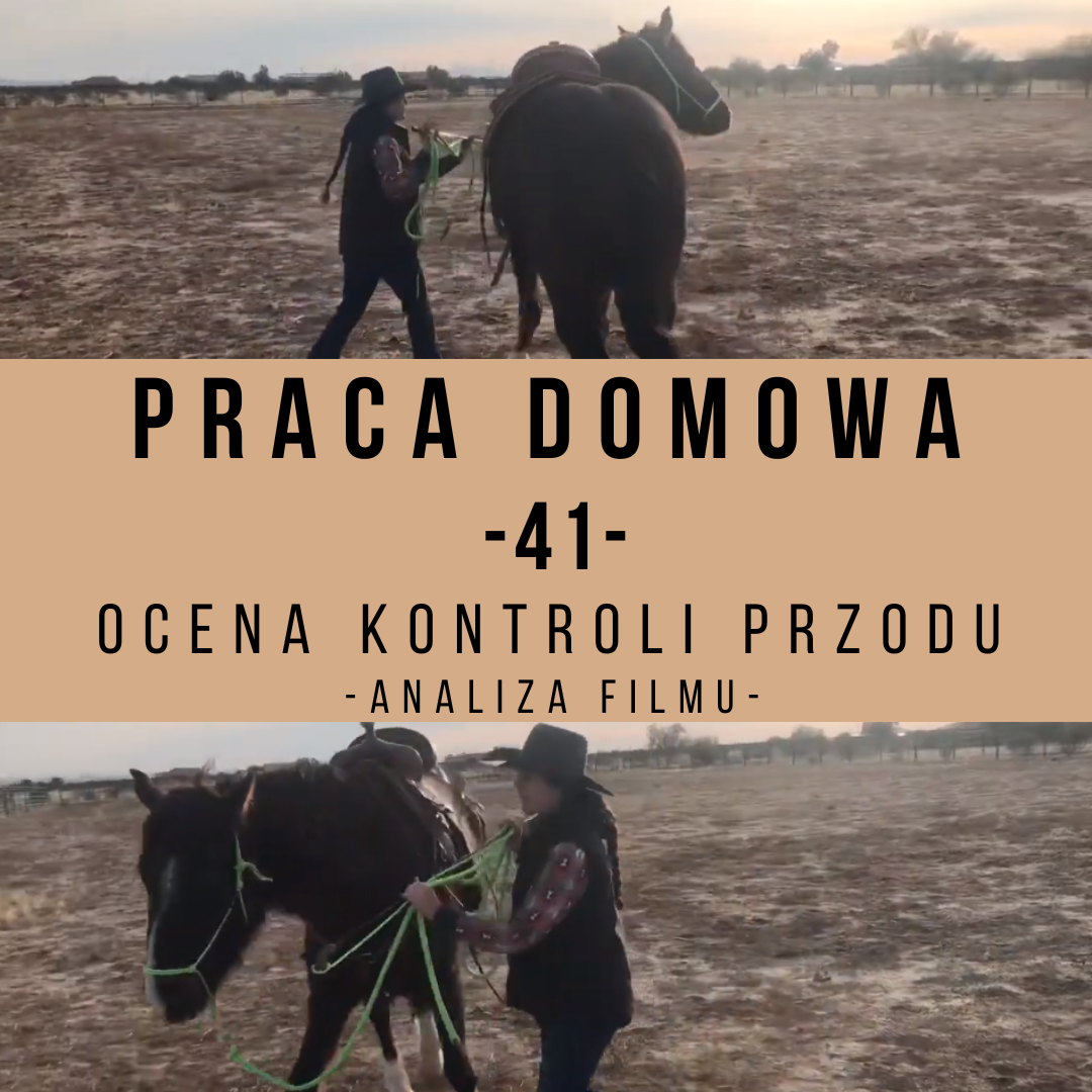 praca domowa 41 - Ocena przesunięcia przodu