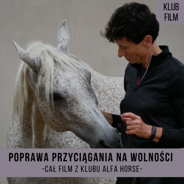 _poprawa_przyciągania_na_wolności_