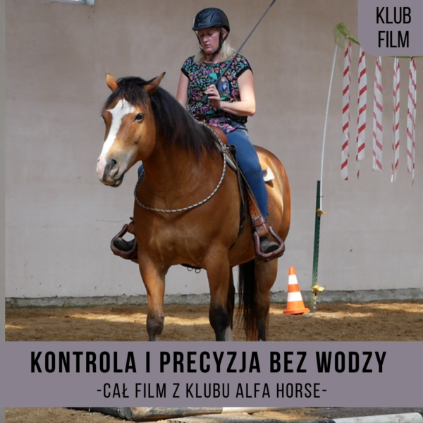 _kontrola_precyzja_bez_wodzy_