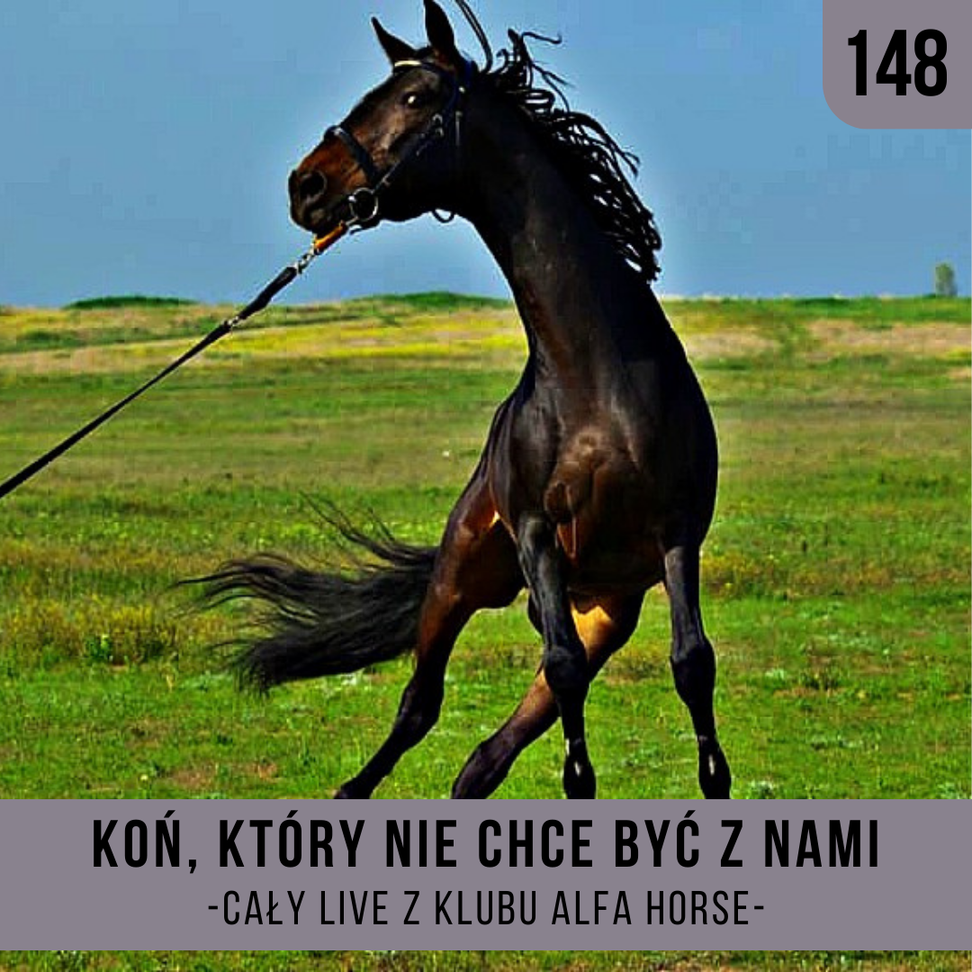 _koń_który_nie_chce_byż_z_nami_live_148_