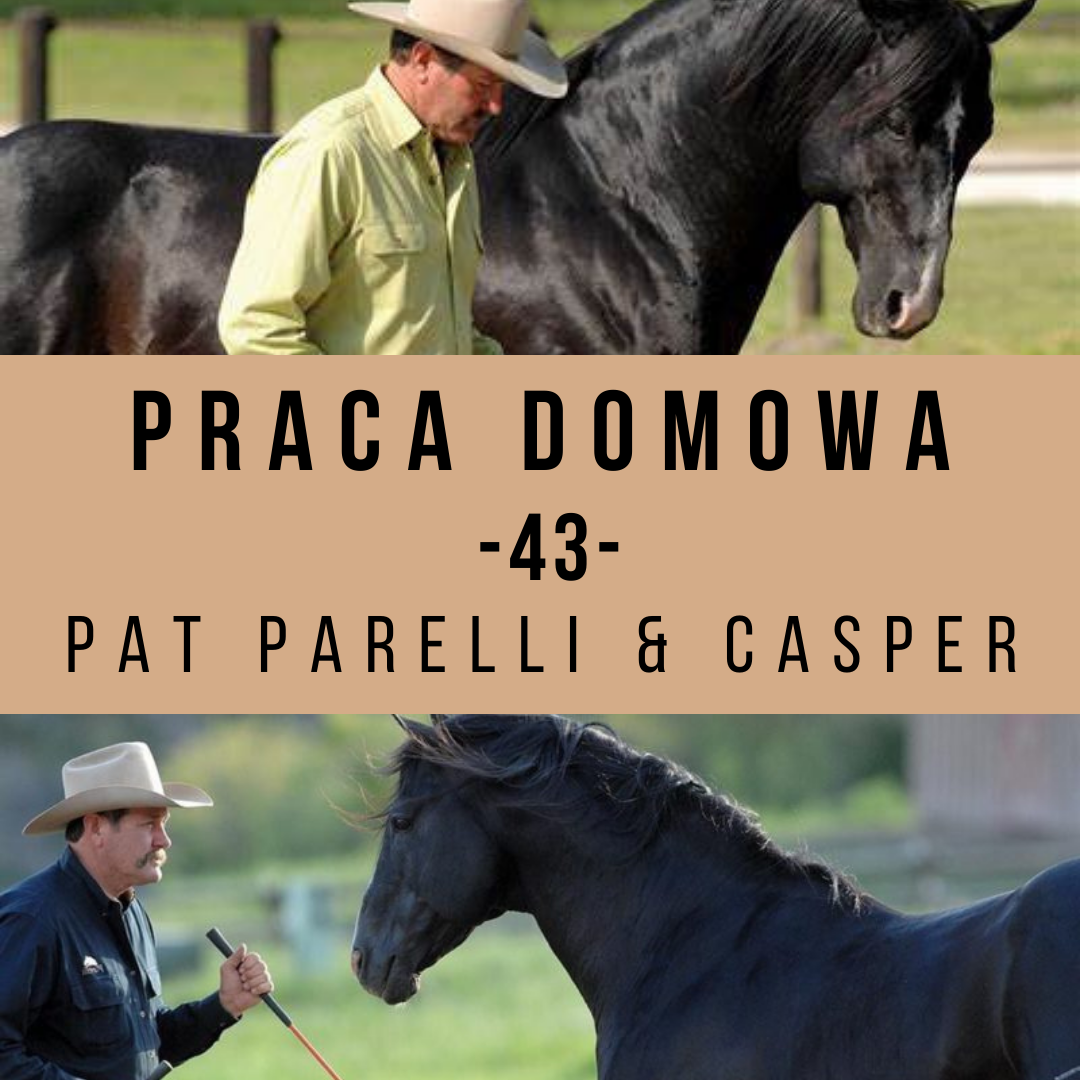 praca_domowa_43_pat_casper