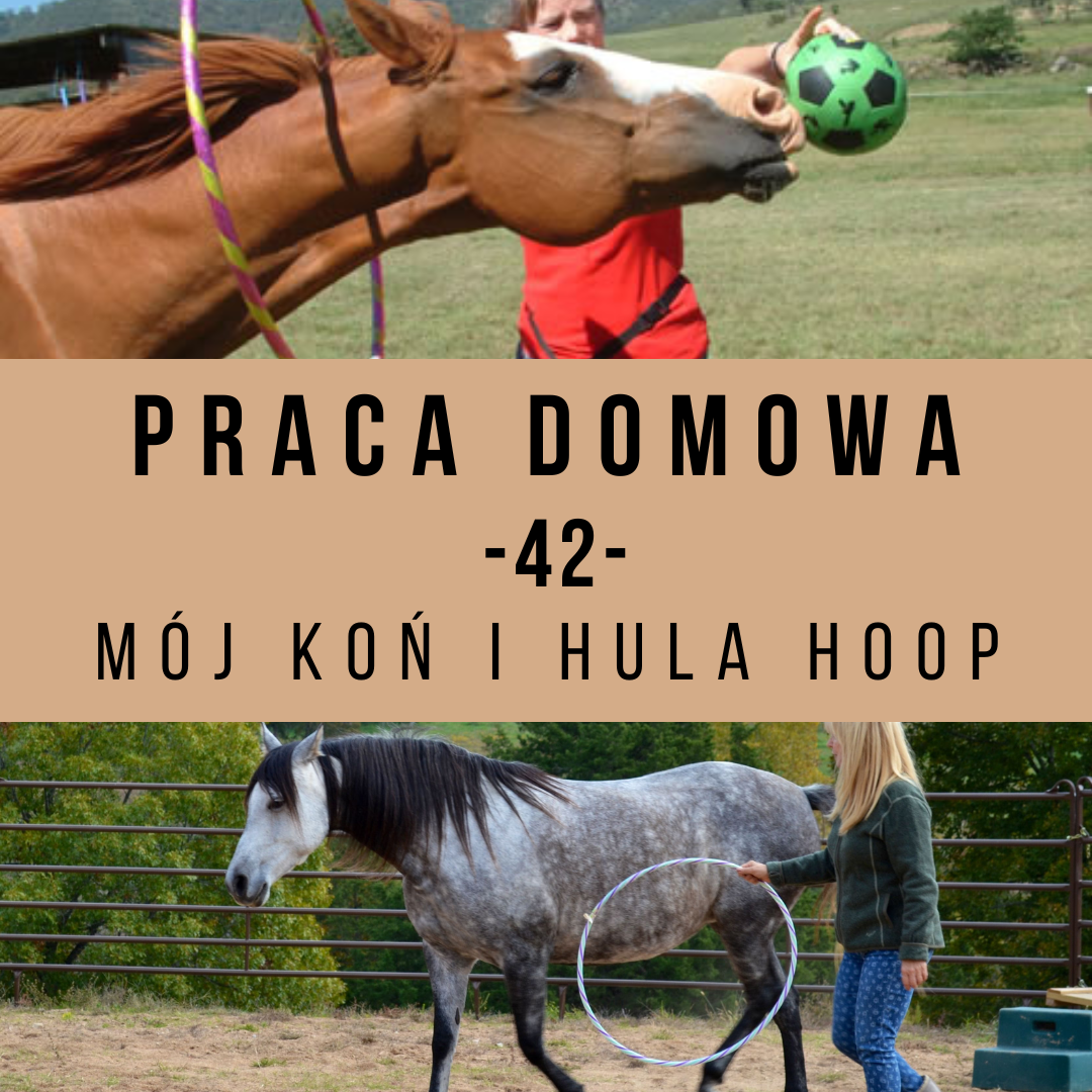 praca_domowa_42