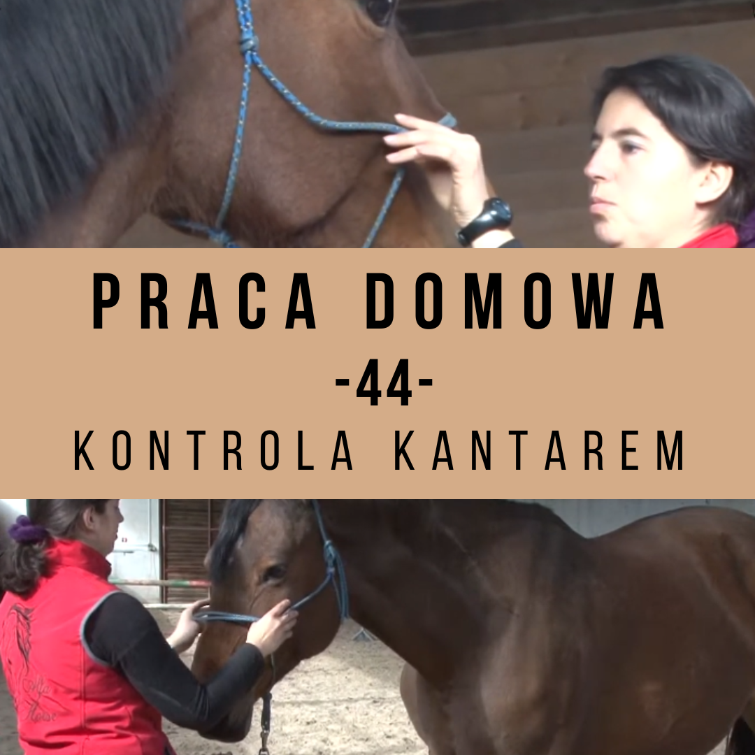 Praca domowa 44 Kontrola kantarem