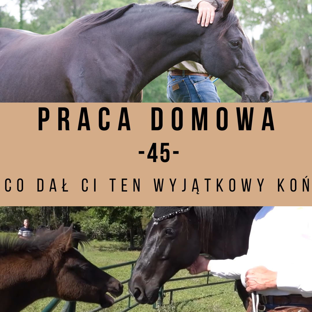 praca_domowa_45_co_dal_ci_ten_wyjatkowy_kon