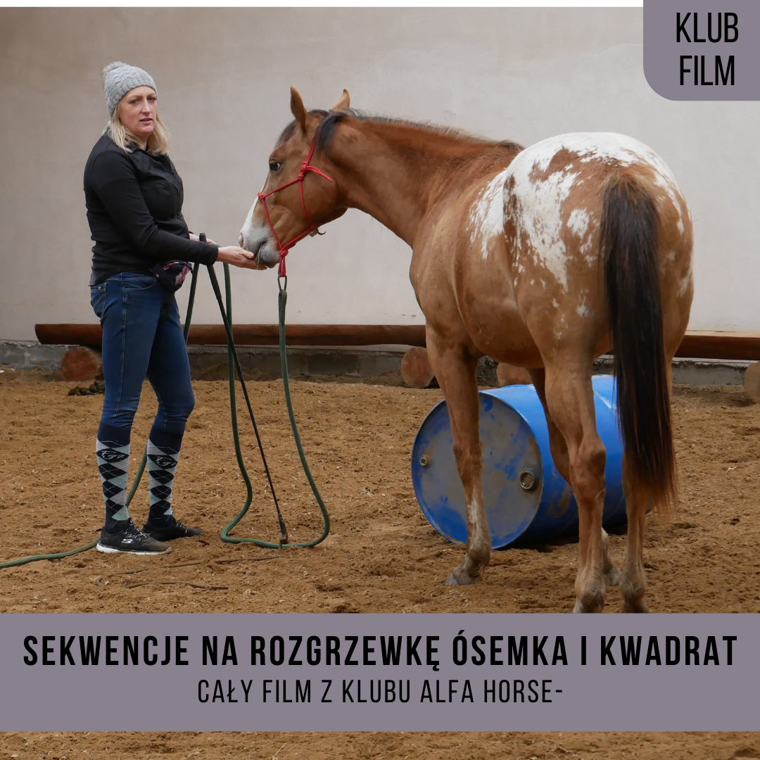 _sekwencja_na_rozgrzewkę_ósemka_kwadrat_